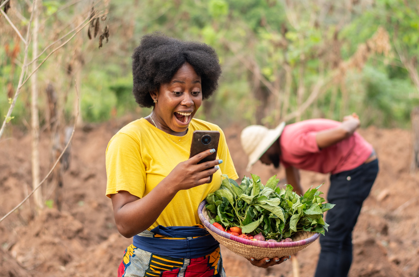 The Power of Connectivity: Bridging the Gap Between Agro Suppliers and Buyers. FARMNET
