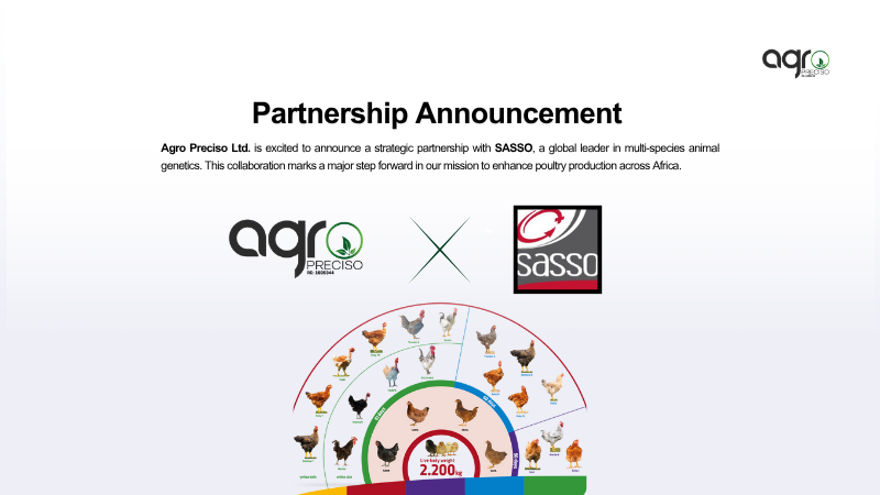 Agro Preciso Ltd. Partners with SASSO to Revolutionise Poultry Farming in Africa.